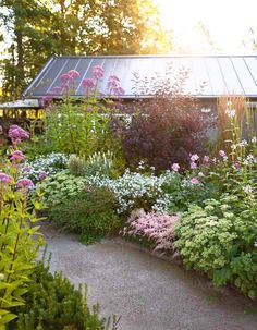 the garden is full of colorful flowers and plants