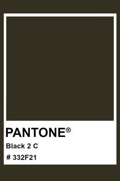 pantone's black 2 c color is shown