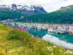 many boats are docked in the water near mountains and snow capped peaks on top of them