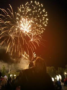 fireworks are lit up in the night sky with people standing around watching and taking pictures