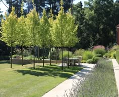 a garden with trees and benches in the middle