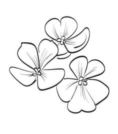 three flowers that are in the shape of four petals, with one flower on each side