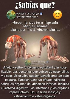 the muscles are shown in spanish, and there is also an image of them with caption