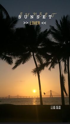 the sun is setting behind some palm trees