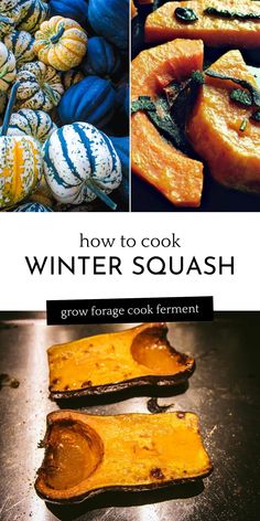 how to cook winter squash in the kitchen