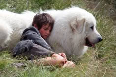 a young boy laying on the ground next to a large white dog