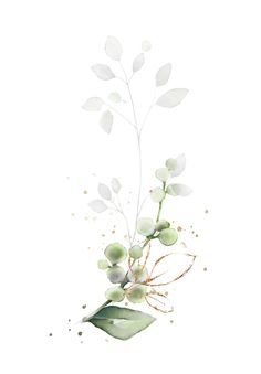 watercolor painting of leaves and flowers on white background