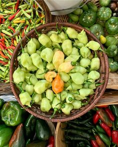 several baskets filled with different types of vegetables