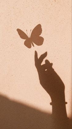 a shadow of a hand holding a butterfly