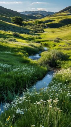 a small stream running through a lush green field with wildflowers and mountains in the background