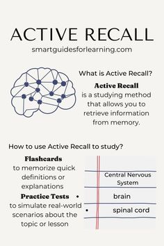 an info sheet with instructions on how to use active react and the words active react