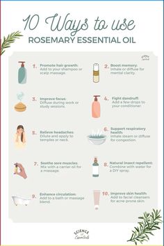 10 ways to use rosemary essential oil, aromatherapy, how to use rosemary, science of essentials Rosemary Oil Uses, Rosemary Essential Oil Uses, Diy Rosemary Oil, Benefits Of Rosemary Essential Oil, Rosemary Oil Benefits, Benefits Of Rosemary Oil, Older Wiser Hotter, Essential Oil Roller Blends, Benefits Of Rosemary