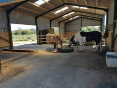 two cows are eating hay in an enclosed area