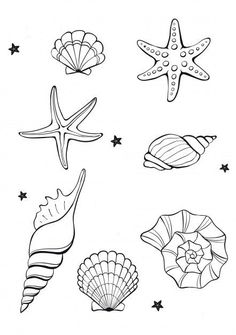 Seashell Coloring Pages, Ocean Drawings, Seashell Drawing, Shell Drawing, Seashell Tattoos, Shell Tattoos, Art Tattoos, Coloring Pages Printable