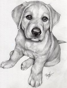 a pencil drawing of a puppy laying down on the ground with his paw up to its face