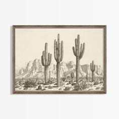 a drawing of cactus trees in the desert