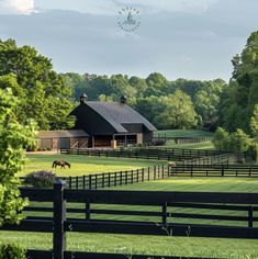 a horse grazing on grass in front of a barn