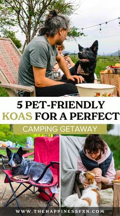 5 Pet-Friendly Koas for a Perfect Camping Getaway Travel Tips With Baby, Rv Traveling, Dog Parks, Honeymoon Vacations, Adventure Guide, Summer Camping, Travel Outdoors, Camping Activities, Global Travel