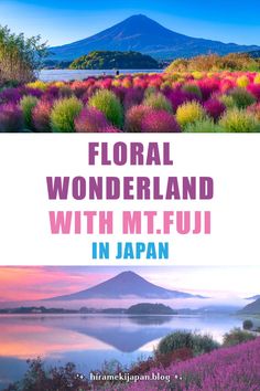 flowers and mountains with the words floral wonderland with mt fuji in japan written below it