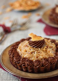 a chocolate cake with frosting and toppings on a plate