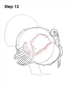 a drawing of a turkey with the words step 13 on it's back side