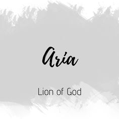 the word aria written in black ink on a white and gray background with brush strokes