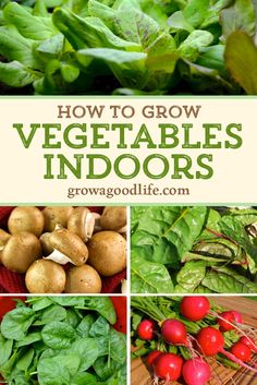 vegetables that are growing in the garden with text overlay saying, 13 easy vegetables to grow indoors