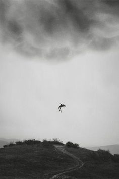 a black and white photo of a bird flying in the sky over a hill top