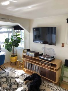 a black dog laying on top of a rug in front of a flat screen tv