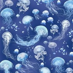 many jellyfish are floating in the water together, and one is blue with white bubbles