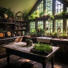 a kitchen filled with lots of potted plants