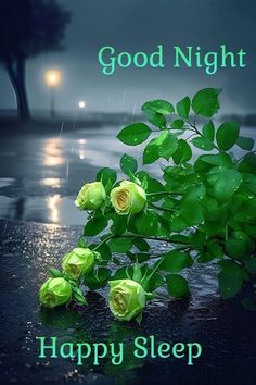 there are three roses on the table and one is in the rain, with words good night happy sleep