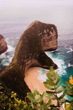 two large rocks sticking out of the ocean next to green plants and water with yellow flowers growing on them