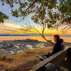 a man sitting on top of a bench next to a tree near the ocean at sunset