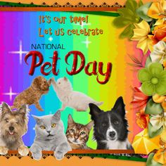 the national pet day card features cats and dogs