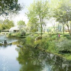 people are standing on the bank of a small river near some trees and grass, while one person is fishing