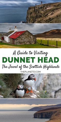 a guide to visiting dunnet head, the jewel of the scottish highlands