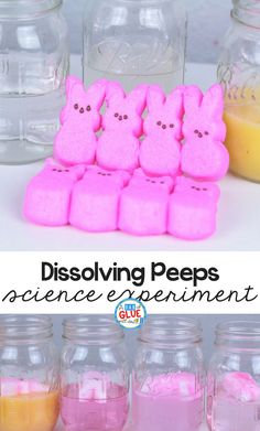 dissolving pees are an easy and fun science experiment for kids to make