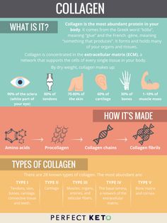 What Is Collagen? 11 Science-Backed Health Benefits Of This Vital Protein Collagen Recipes, Benefits Of Coconut Oil