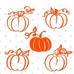 four pumpkins are shown in orange on a white background