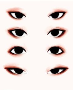 the eyes are drawn in different ways to show how they look on each side of the eye