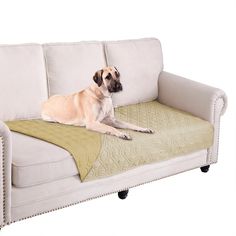 a dog laying on top of a couch covered in a green blanket and pillow cover