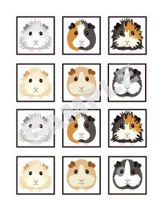 the guineas are all different colors and sizes in this printable pattern, which is also