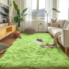 a living room filled with furniture and a green rug