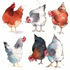 six different colored hens standing next to each other on a white surface with watercolor stains