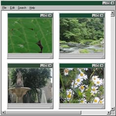 four different pictures are shown in the same window, each with their own image and text