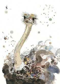 an ostrich is standing in the dirt