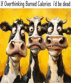 three black and white cows standing next to each other in front of a yellow background