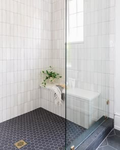 a bathroom with a glass shower door and tiled flooring, along with a plant in the corner