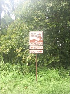 a red and white sign sitting in the middle of a lush green forest filled with trees